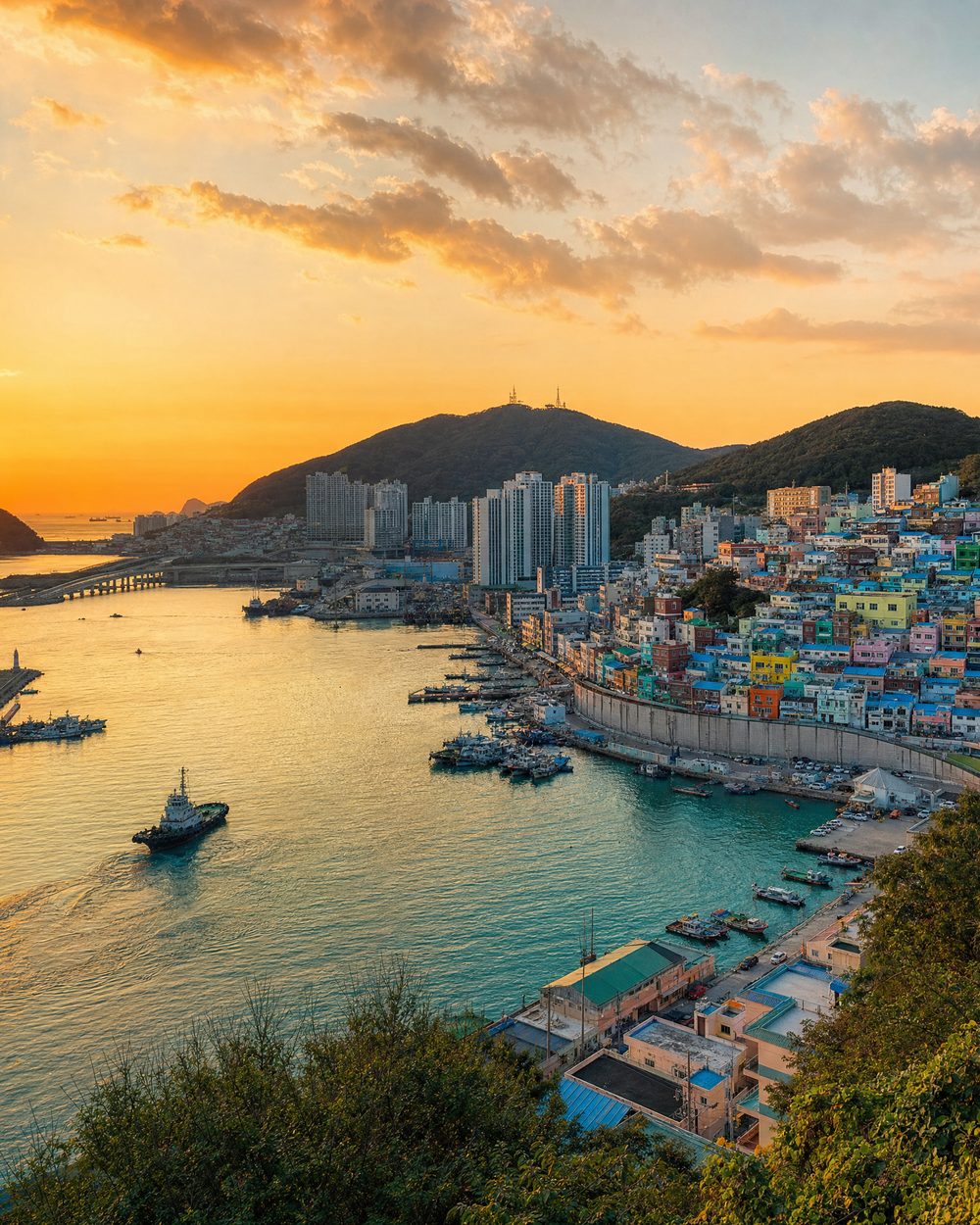 Busan waterfront at golden hour, with the harbour, hills and colourful terraced houses